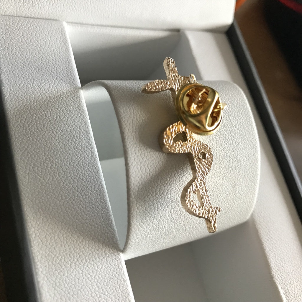 KAIROS Doctor’s Pin The Rod of Asclepius Pin for Medical Professionals Medwear Accessories